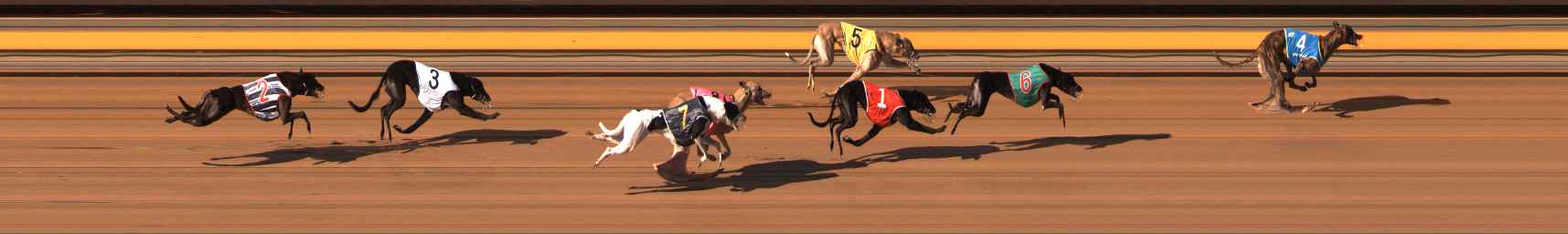 Photo finish for Ballarat Race 9