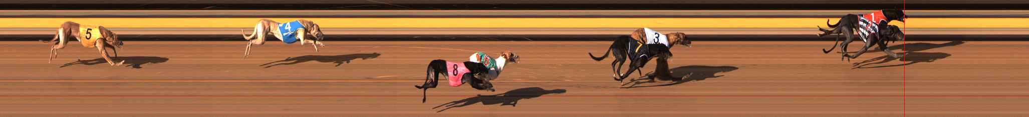 Photo finish for Ballarat Race 10