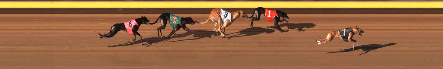 Photo finish for Ballarat Race 12