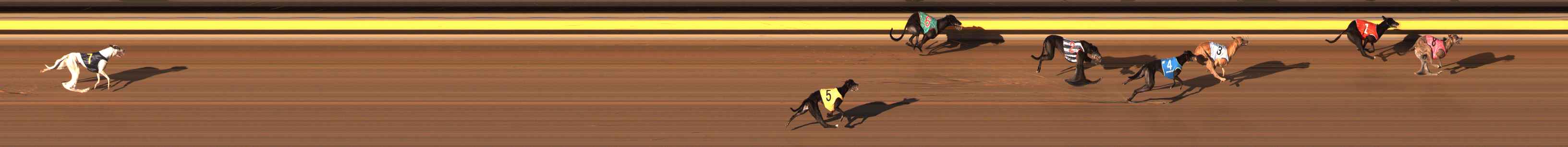Photo finish for Ballarat Race 14