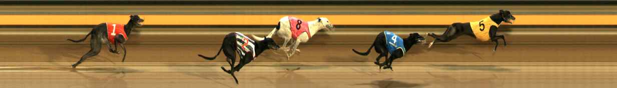 Photo finish for Ballarat Race 2