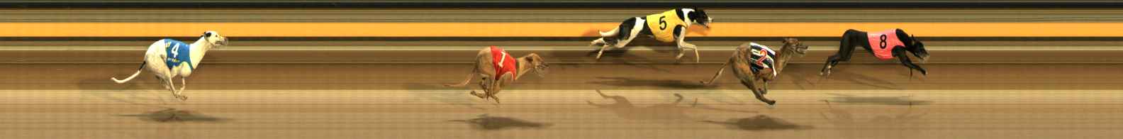 Photo finish for Ballarat Race 3