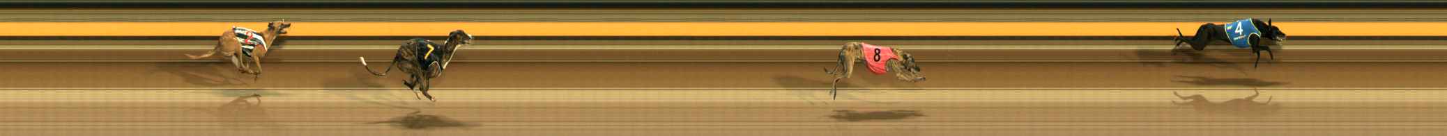 Photo finish for Ballarat Race 4