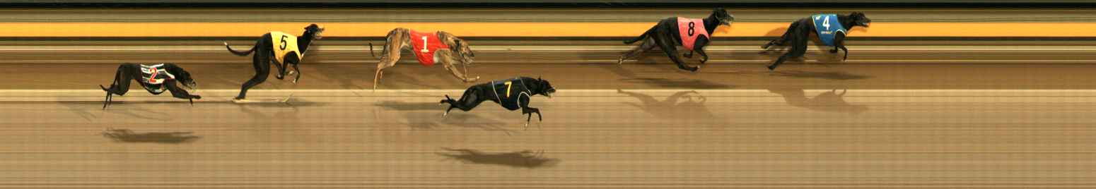 Photo finish for Ballarat Race 7