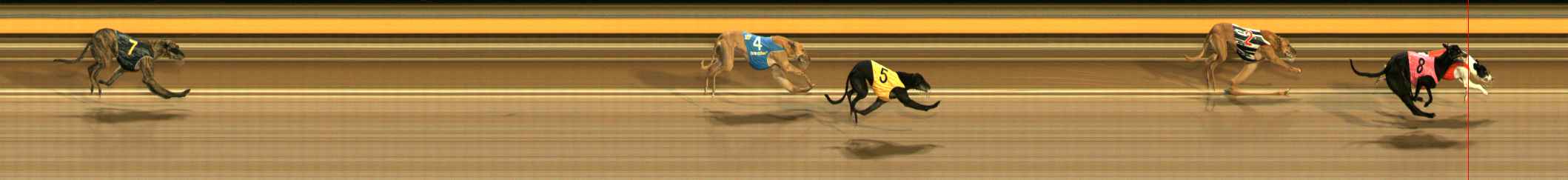 Photo finish for Ballarat Race 9