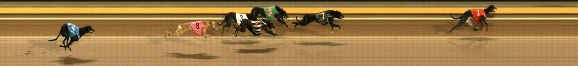 Photo finish for Ballarat Race 4