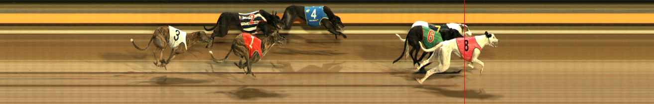 Photo finish for Ballarat Race 5