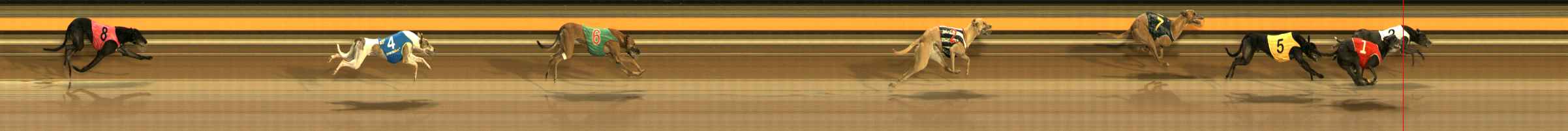 Photo finish for Ballarat Race 6