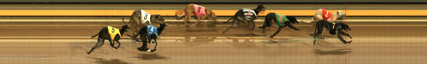 Photo finish for Ballarat Race 7