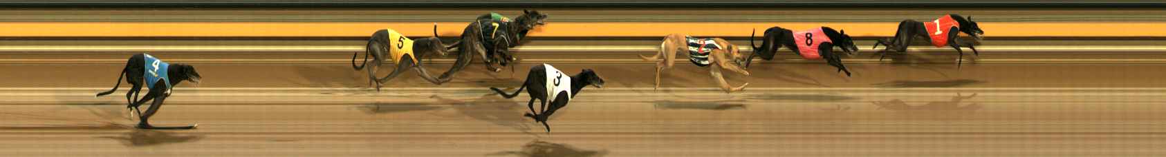 Photo finish for Ballarat Race 8