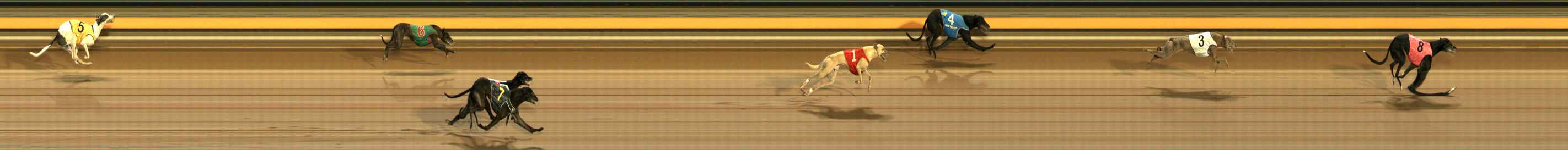 Photo finish for Ballarat Race 9