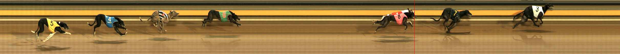 Photo finish for Ballarat Race 10