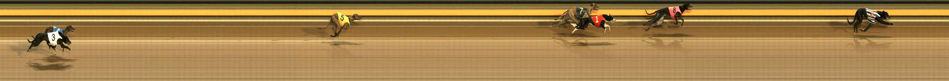 Photo finish for Ballarat Race 12