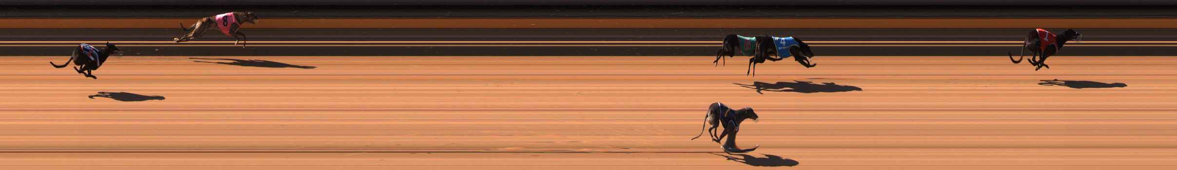 Race result finish photo