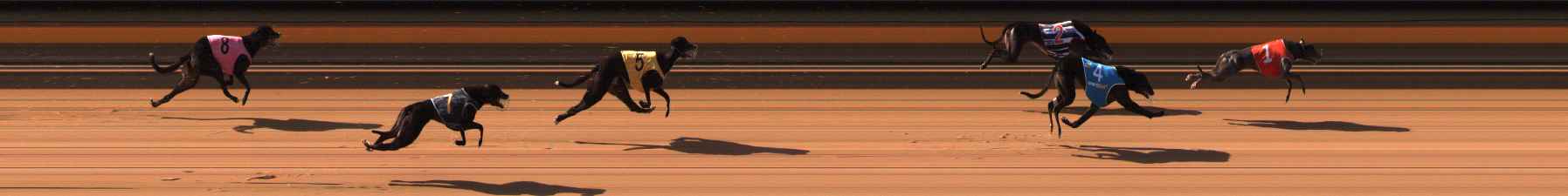 Photo finish for Ballarat Race 2