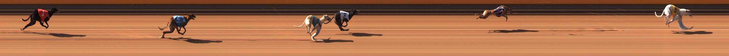 Photo finish for Ballarat Race 3