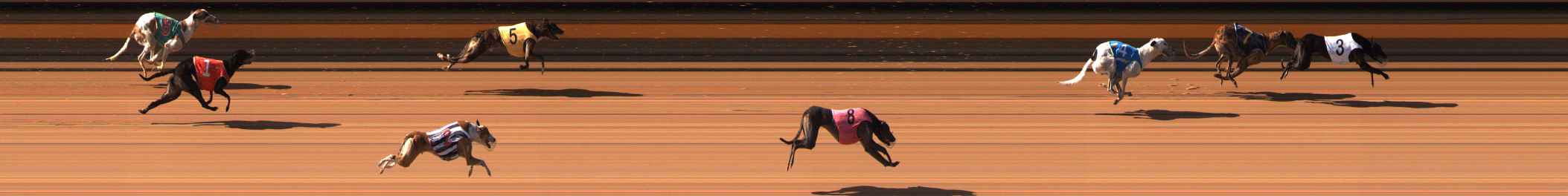 Photo finish for Ballarat Race 4