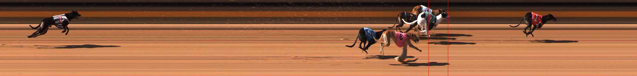 Photo finish for Ballarat Race 5