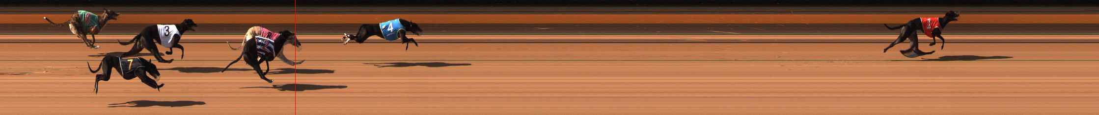 Photo finish for Ballarat Race 6