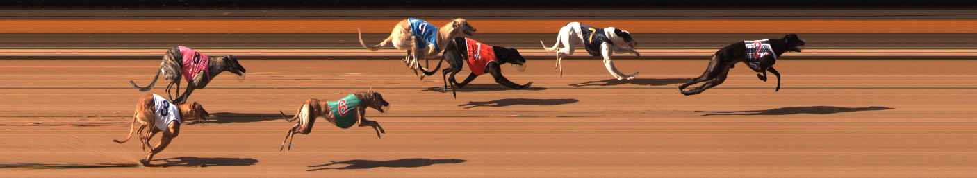Photo finish for Ballarat Race 7
