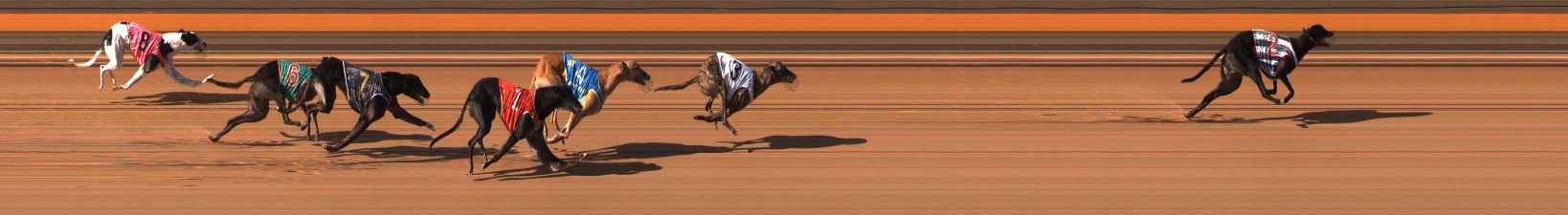 Photo finish for Ballarat Race 8