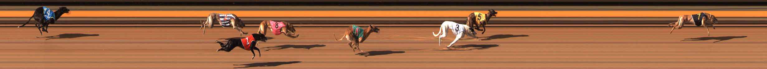 Photo finish for Ballarat Race 9
