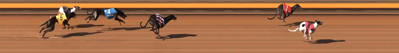 Photo finish for Ballarat Race 10