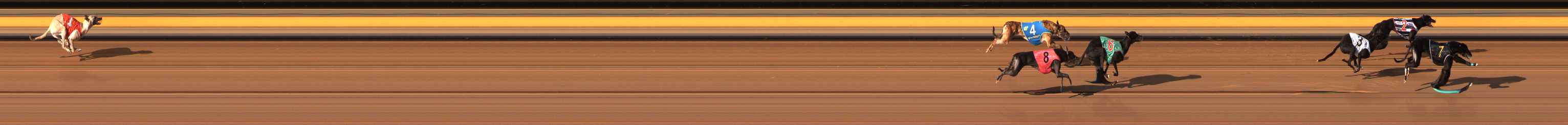 Photo finish for Ballarat Race 11