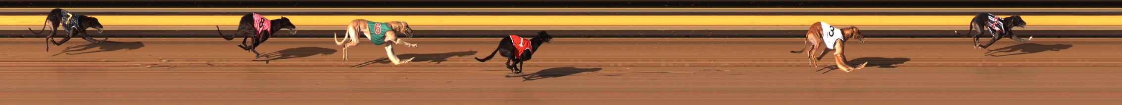 Photo finish for Ballarat Race 12