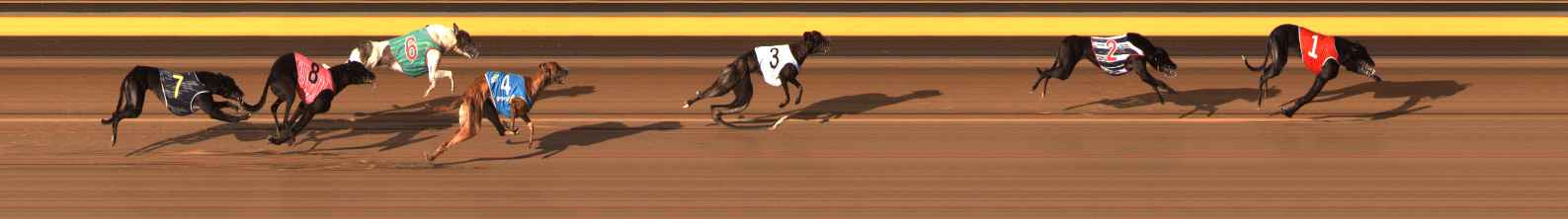Photo finish for Ballarat Race 13