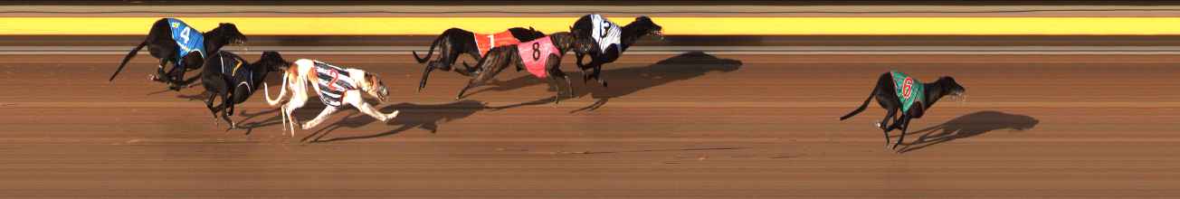 Photo finish for Ballarat Race 14
