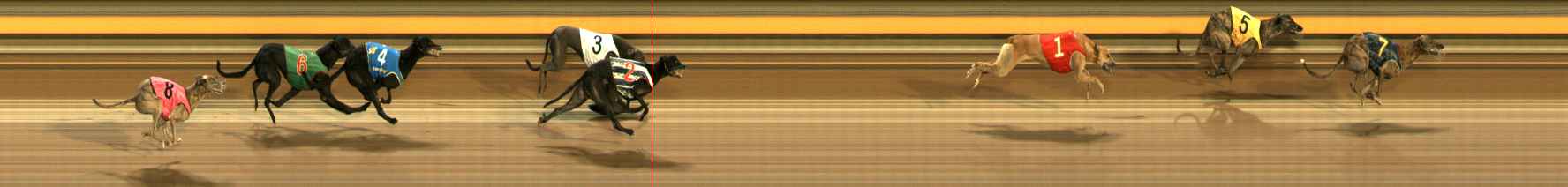 Photo finish for Ballarat Race 2