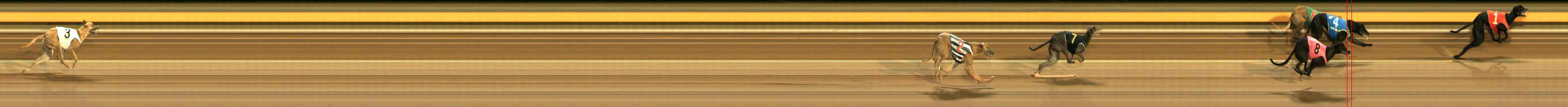 Photo finish for Ballarat Race 12