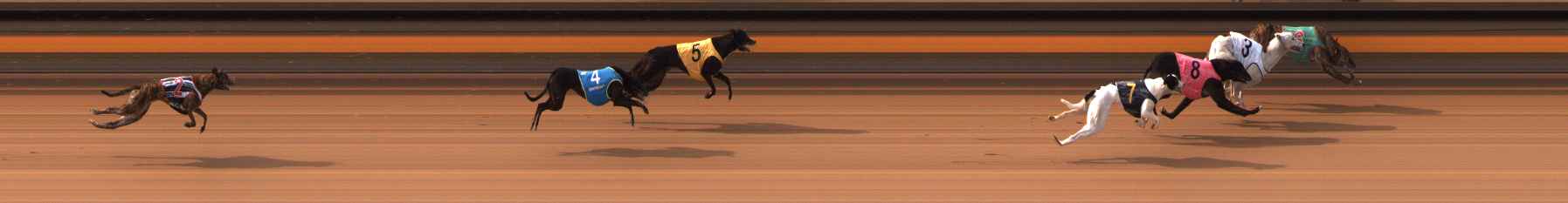Photo finish for Ballarat Race 2
