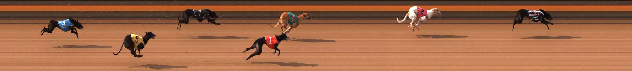 Photo finish for Ballarat Race 3