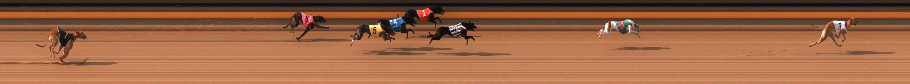 Photo finish for Ballarat Race 4