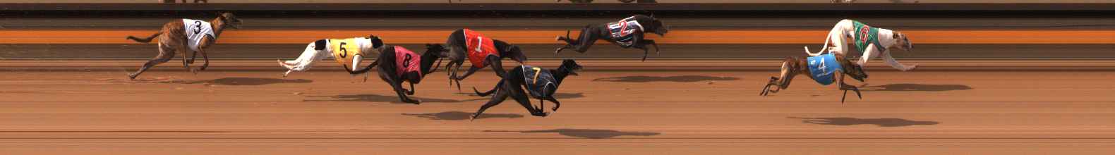 Photo finish for Ballarat Race 5