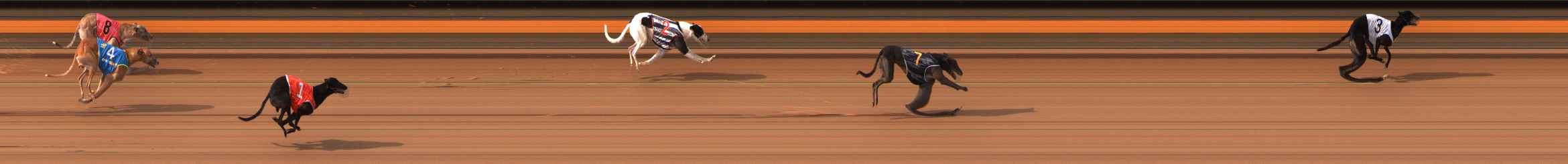 Photo finish for Ballarat Race 6