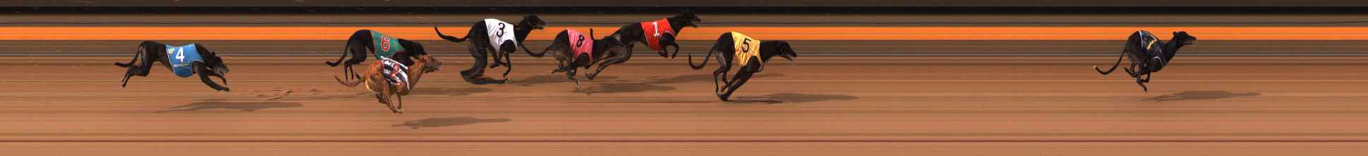 Photo finish for Ballarat Race 7