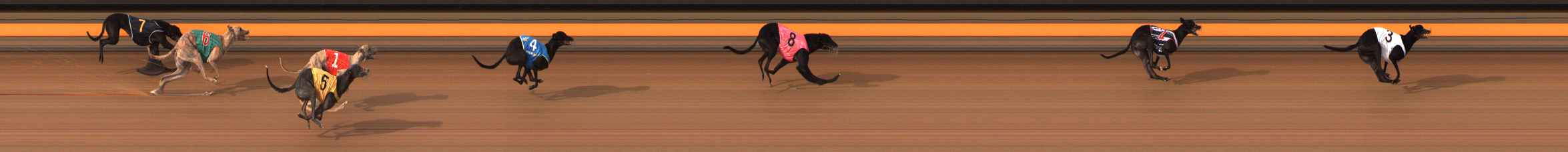 Photo finish for Ballarat Race 10