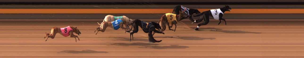 Photo finish for Ballarat Race 1