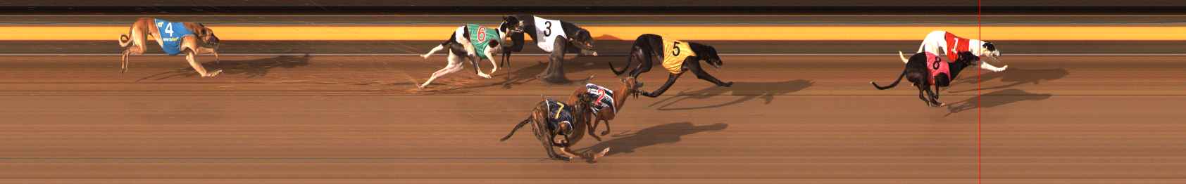 Photo finish for Ballarat Race 12