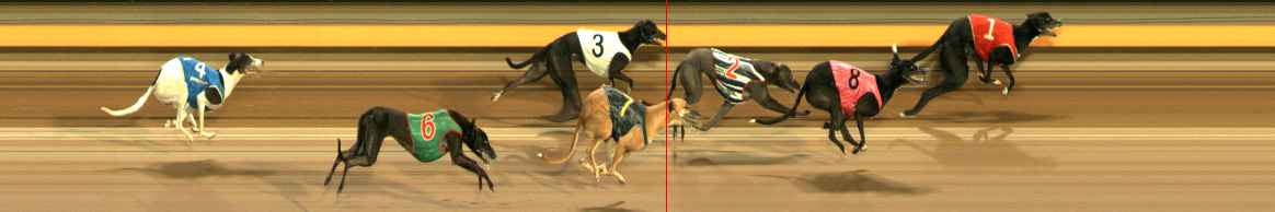 Photo finish for Ballarat Race 6