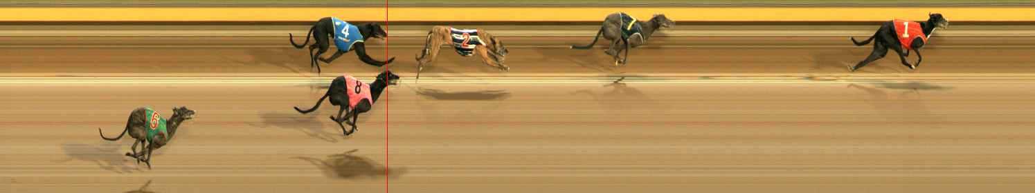 Photo finish for Ballarat Race 7