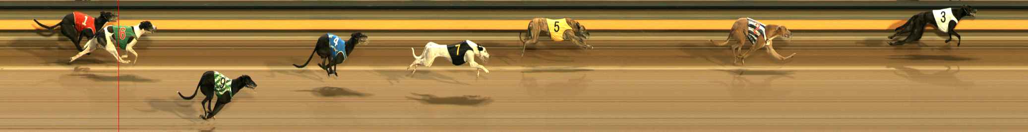 Photo finish for Ballarat Race 8