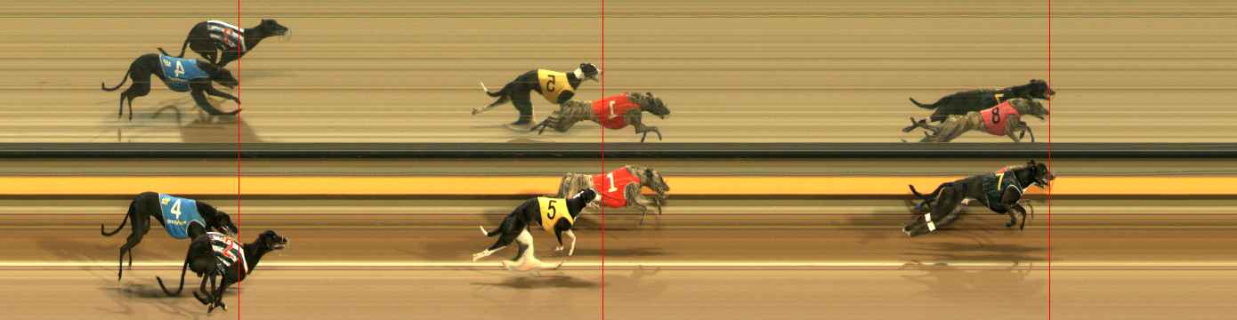 Photo finish for Ballarat Race 10