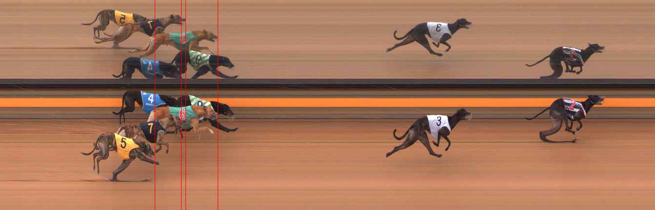 Photo finish for Ballarat Race 6