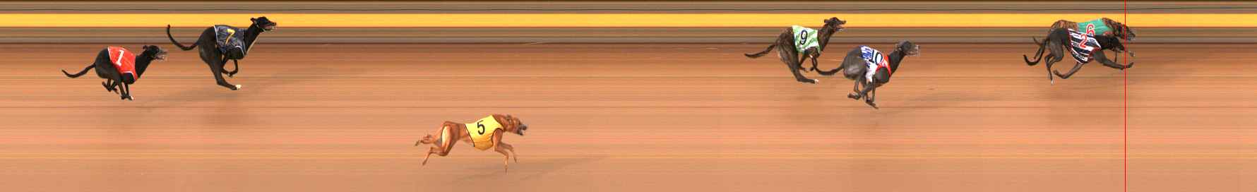 Photo finish for Ballarat Race 12