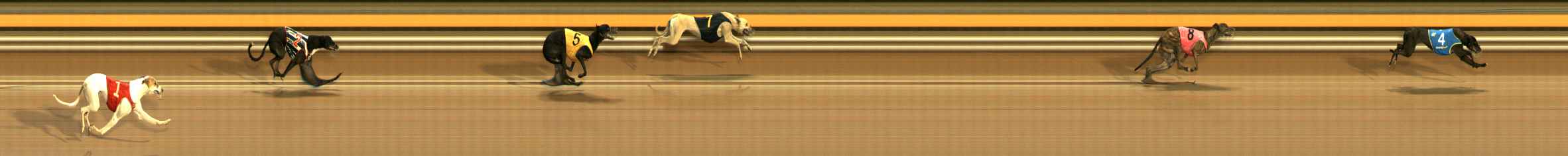 Race result finish photo