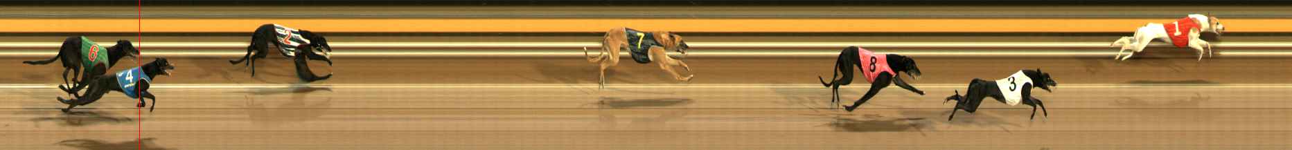 Race result finish photo